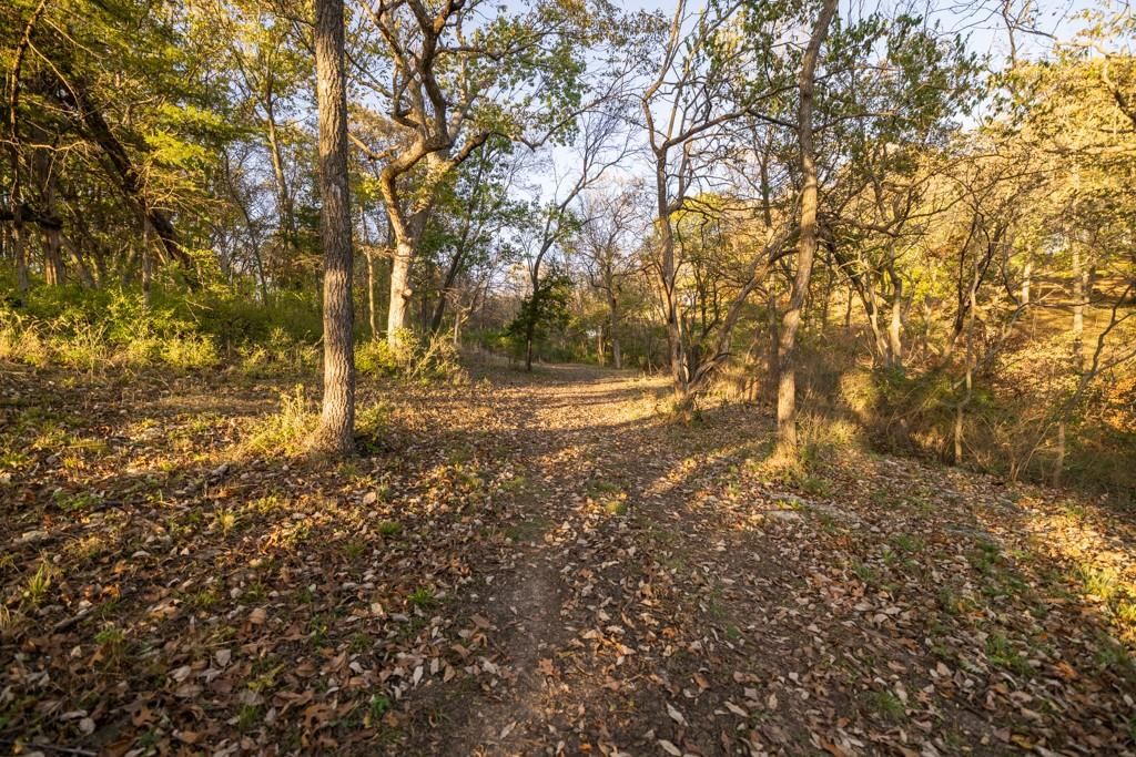 8700 Trail Ridge Street — photo 46