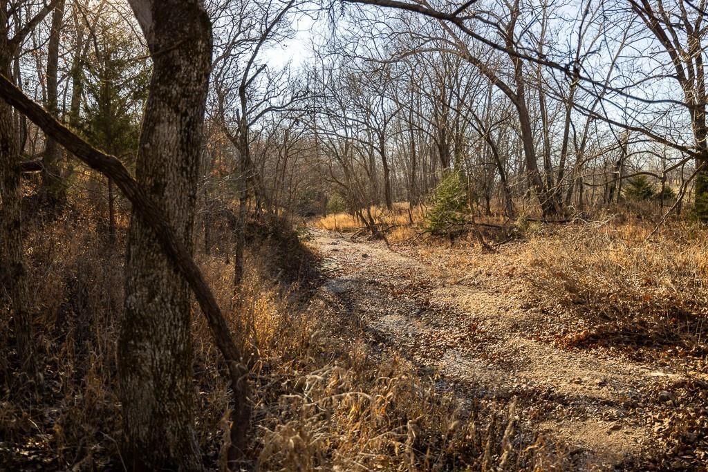 Waisner Avenue — photo 34