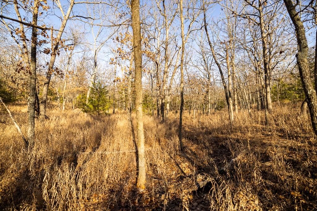 Waisner Avenue — photo 42