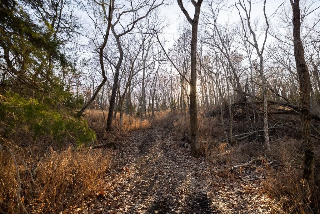Waisner Avenue — photo 45