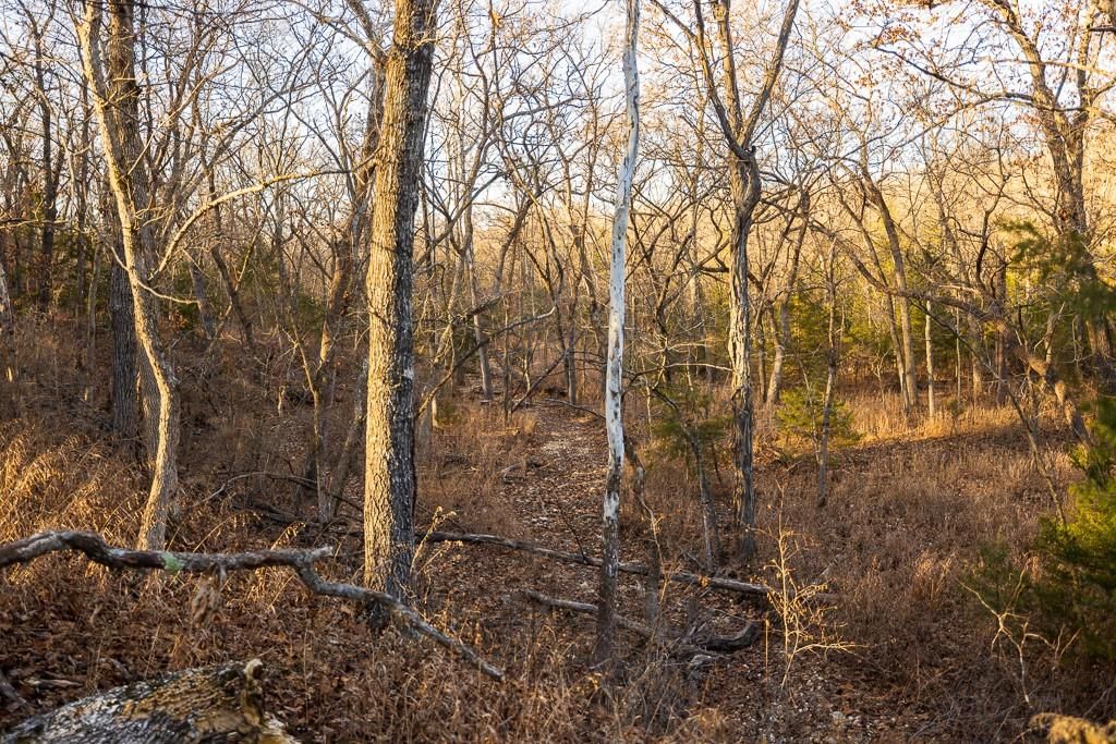 Waisner Avenue — photo 46