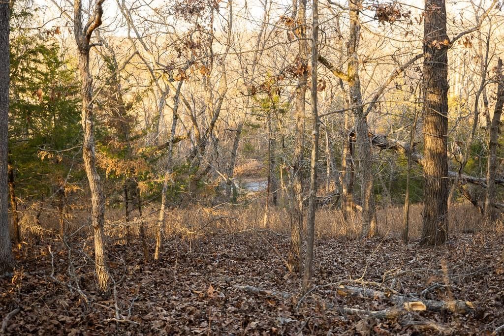Waisner Avenue — photo 49