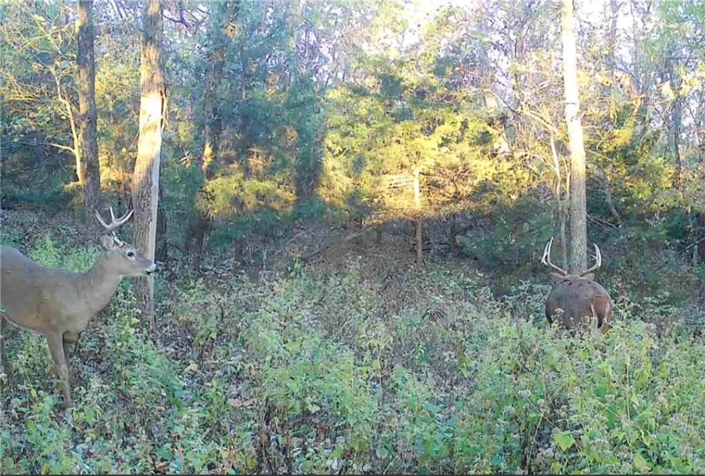 Photo 3 of 62 - 32019 S Shawnee Heights Road