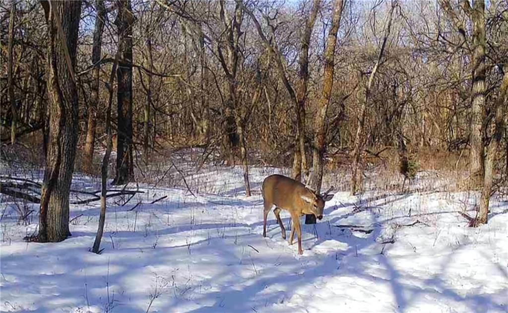 Photo 4 of 62 - 32019 S Shawnee Heights Road
