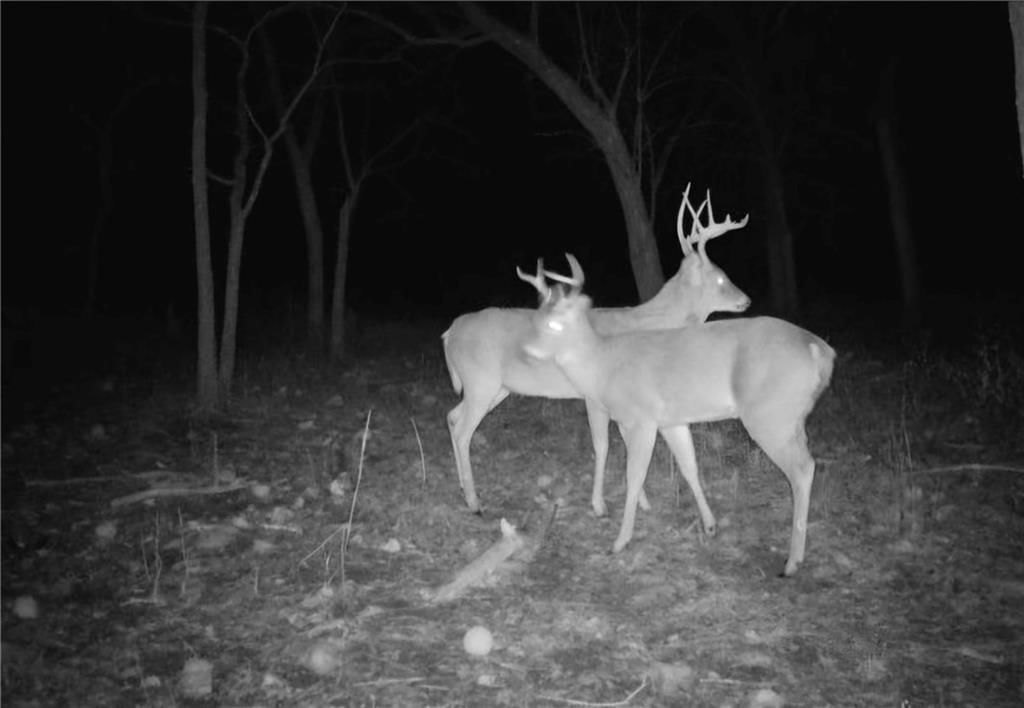 Photo 6 of 62 - 32019 S Shawnee Heights Road