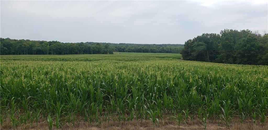 Monroe Rd 117 Road, Moberly, MO