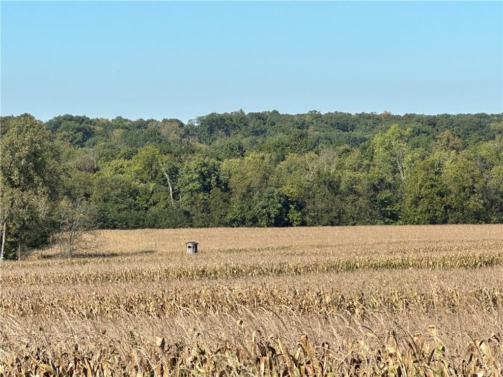 Monroe Rd 117 Road — photo 2