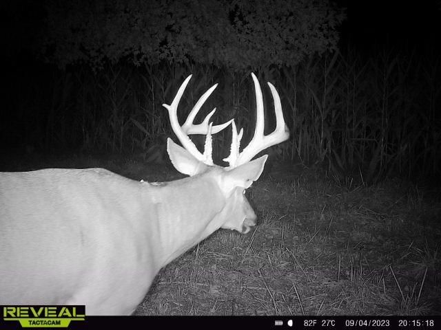 Monroe Rd 117 Road — photo 3