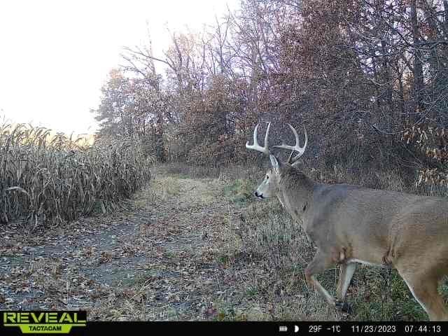 Monroe Rd 117 Road — photo 10