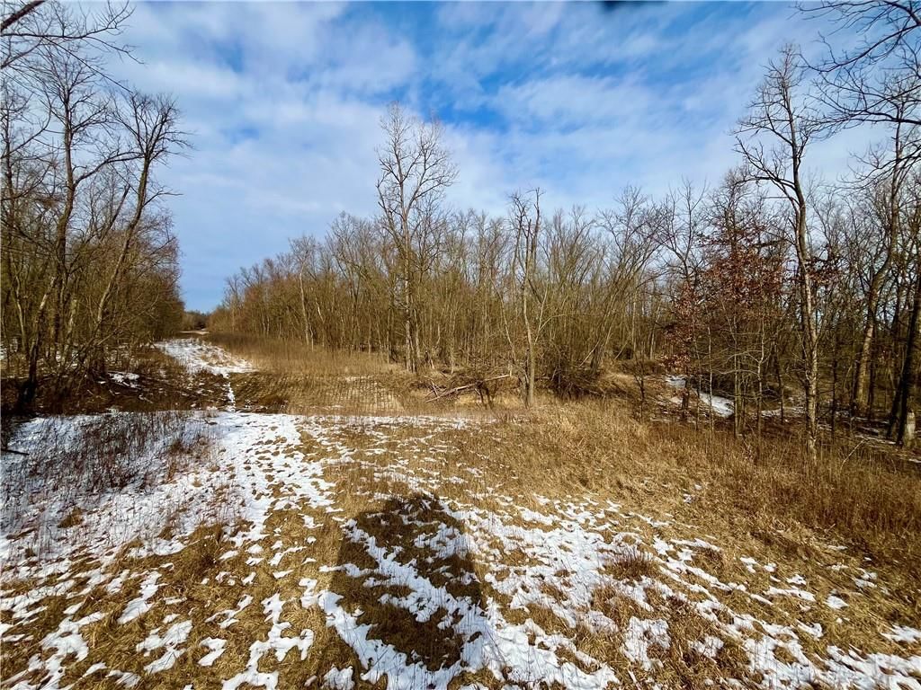 Monroe Rd 117 Road — photo 13