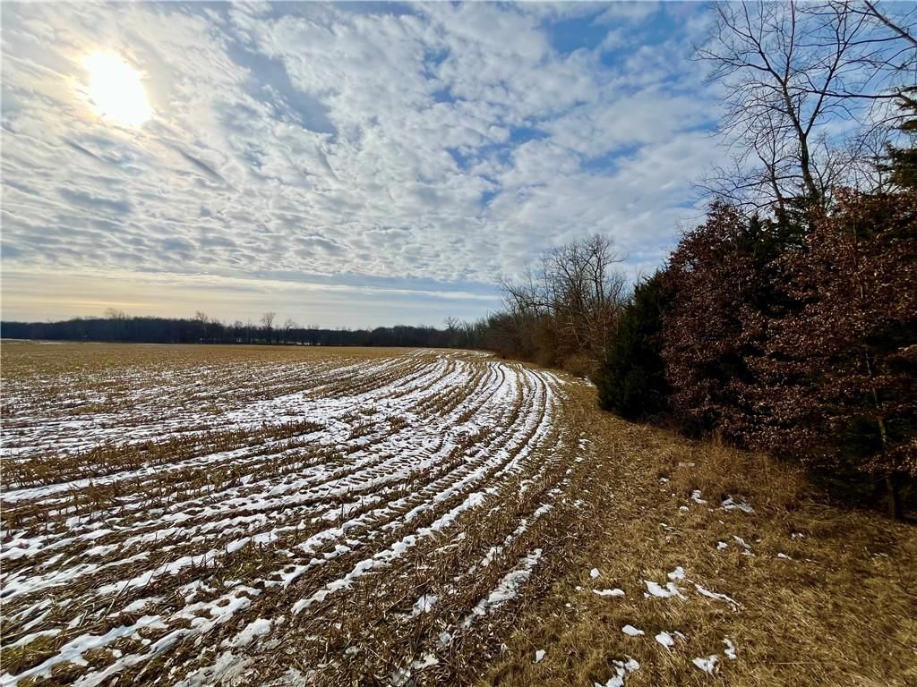 Monroe Rd 117 Road — photo 14