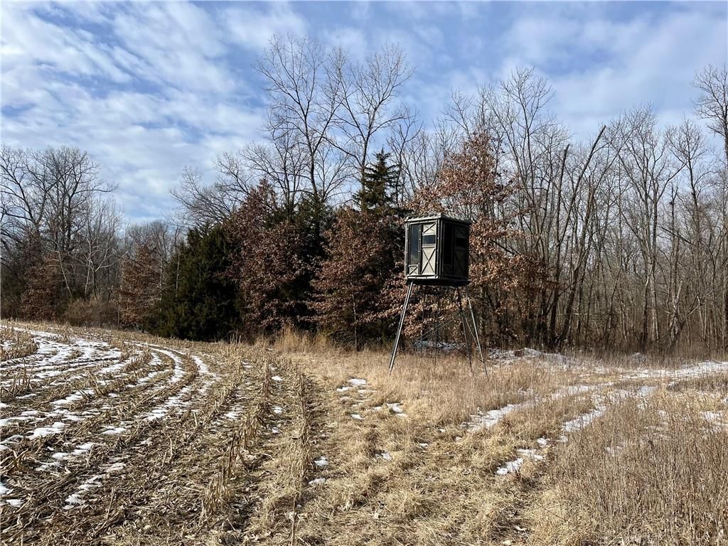 Monroe Rd 117 Road — photo 15