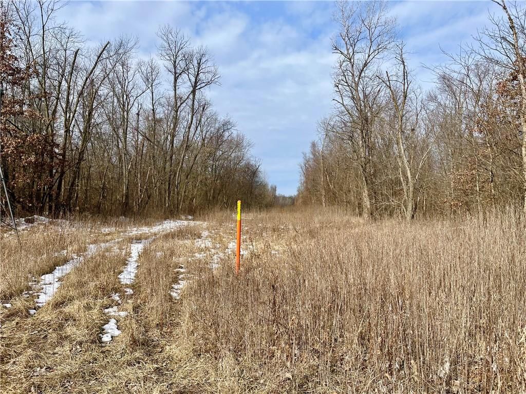 Monroe Rd 117 Road — photo 16