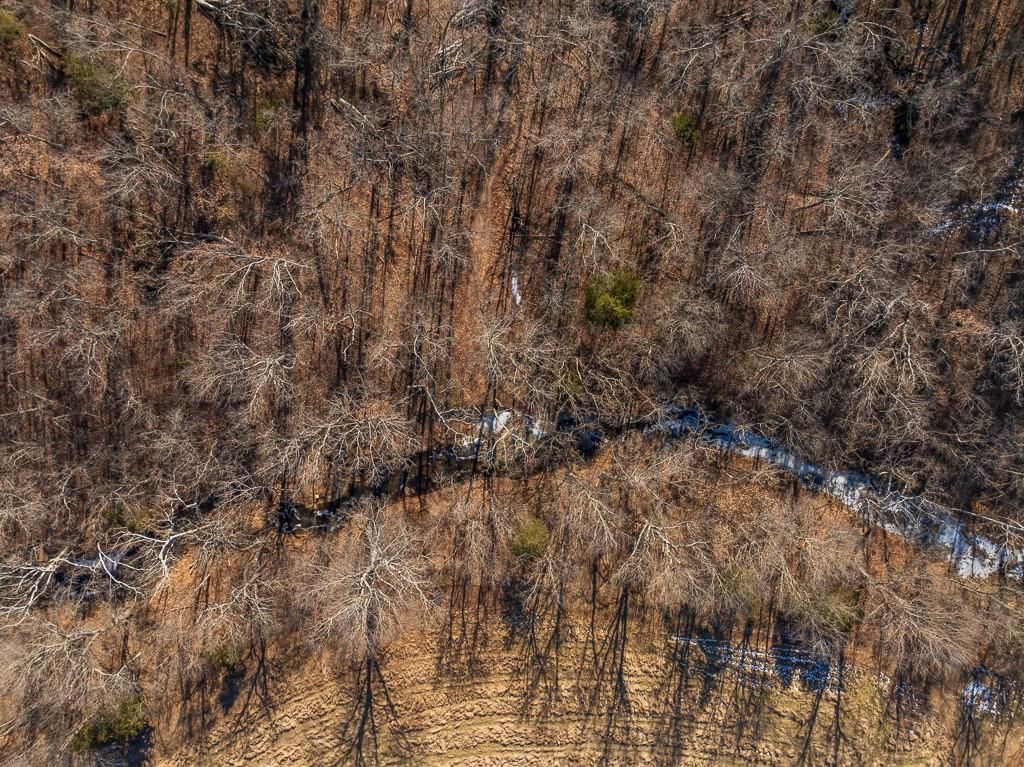 000 SE J Highway — photo 4
