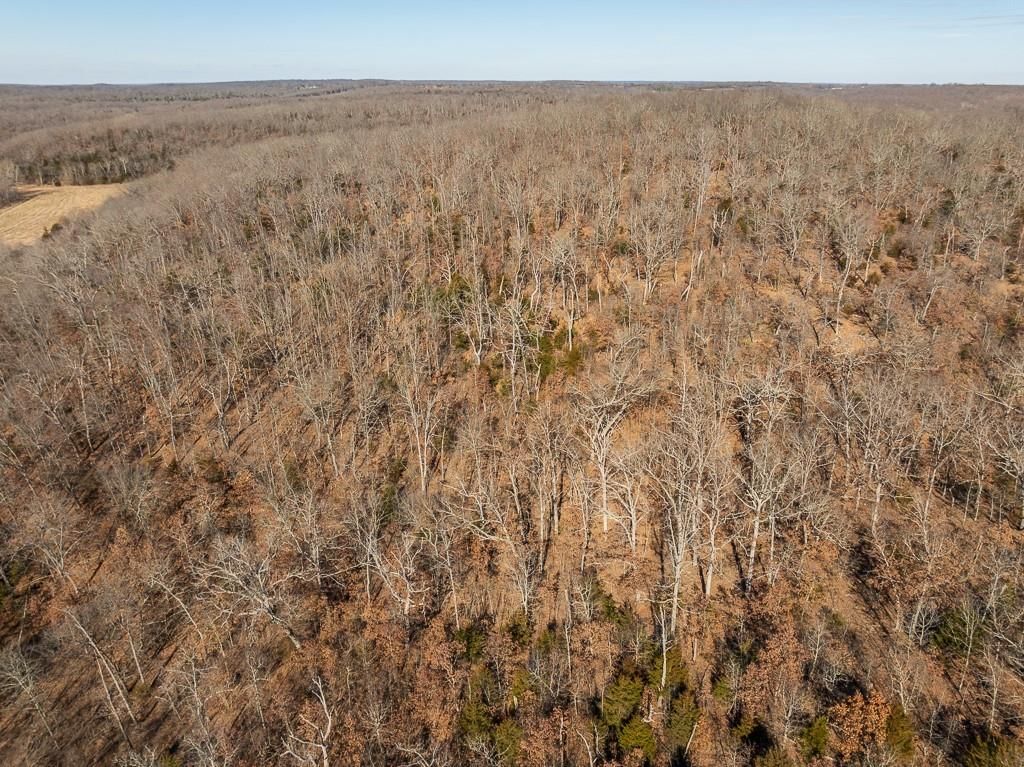 000 SE J Highway — photo 12
