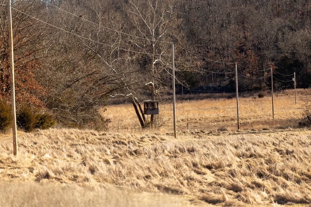 000 SE J Highway — photo 27