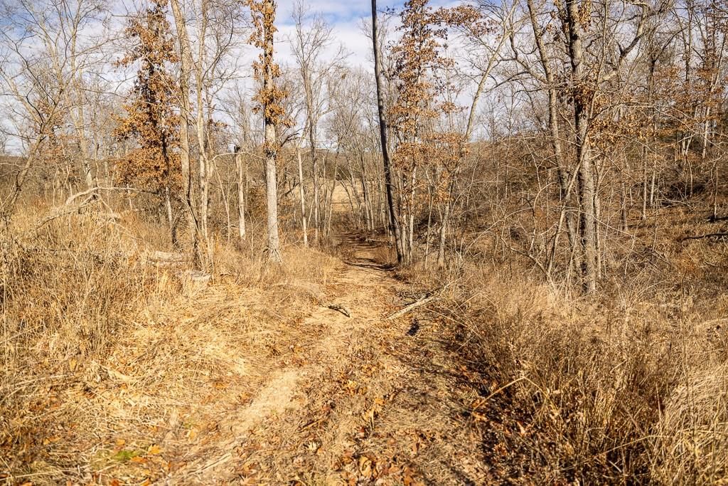 000 SE J Highway — photo 46