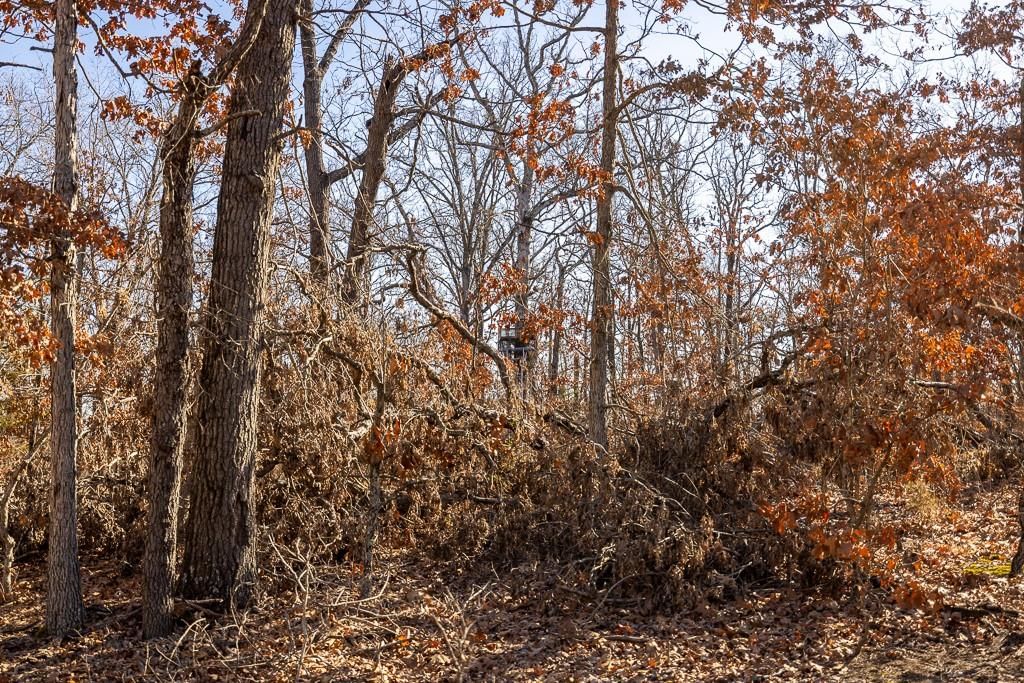 000 SE J Highway — photo 51