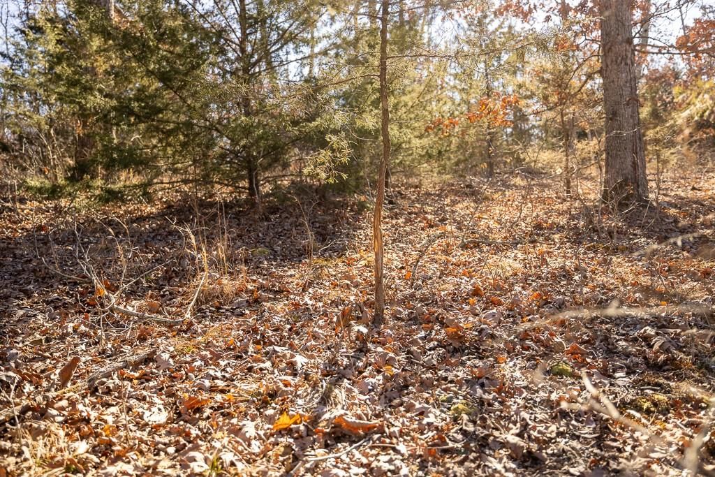 000 SE J Highway — photo 57