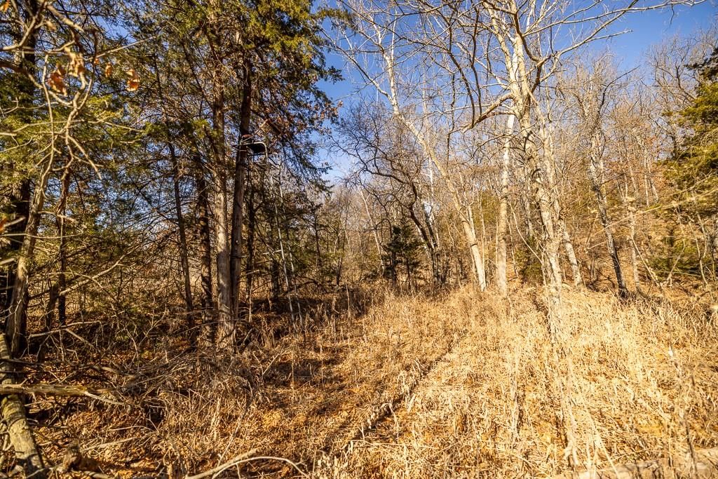 000 SE J Highway — photo 63