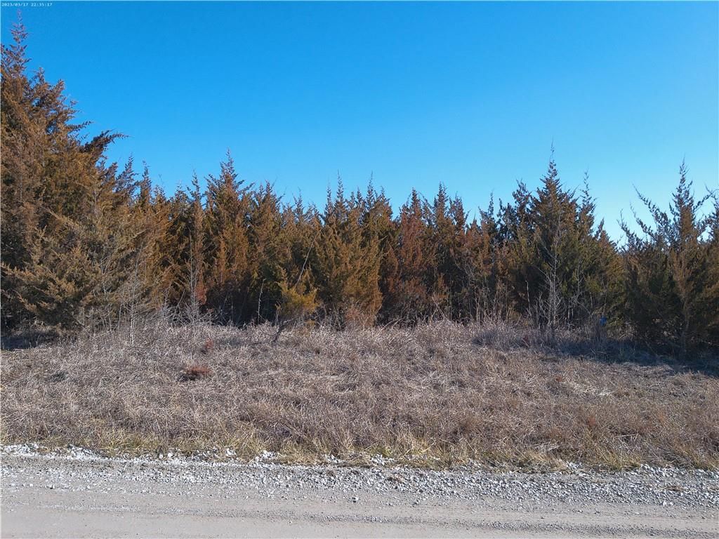 0 Lone Star Road — photo 2