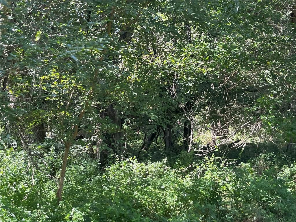Y Highway — photo 24