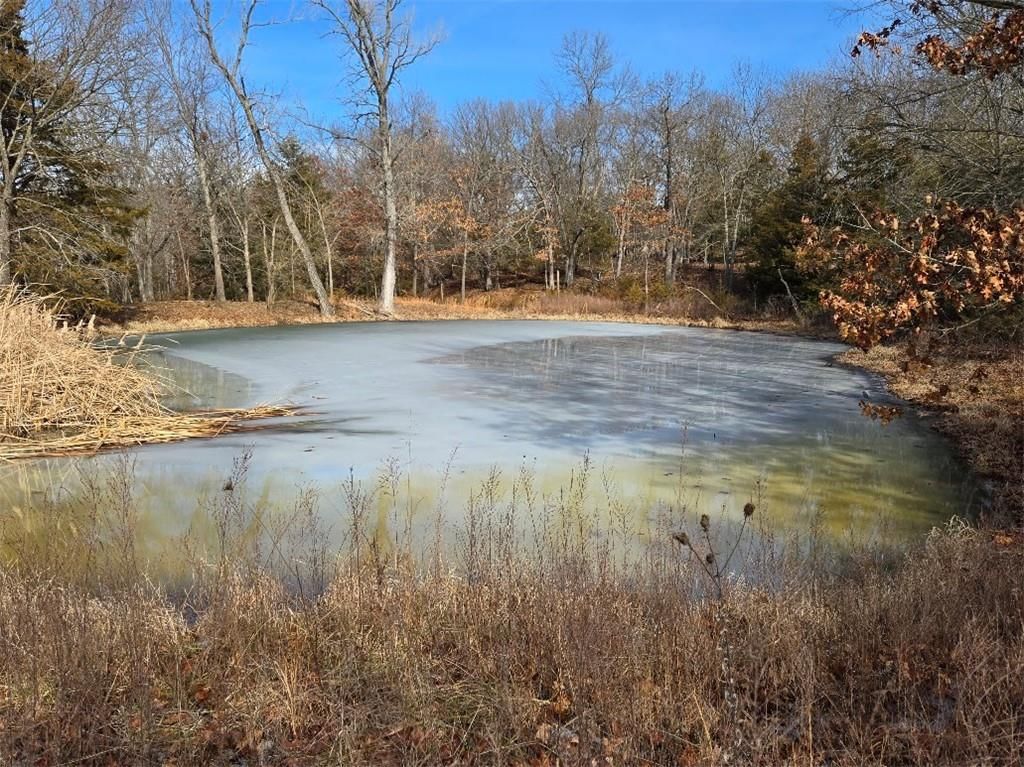 30405 Oak Grove Road — photo 4