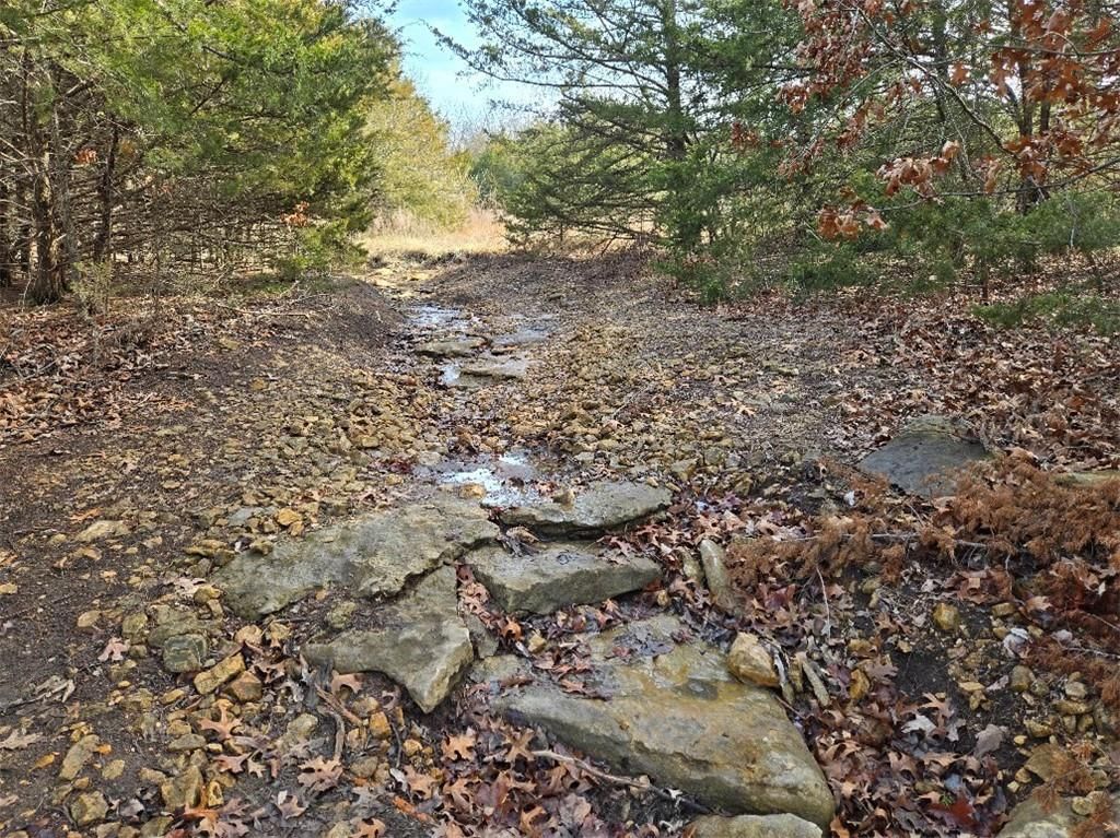 30405 Oak Grove Road — photo 6