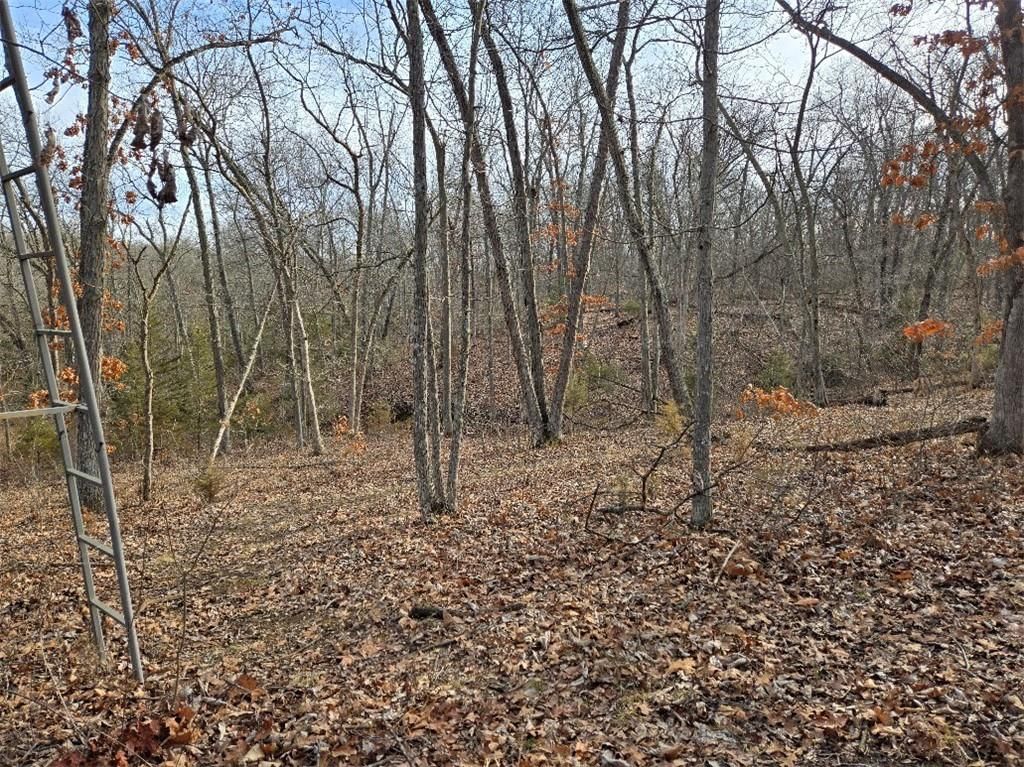 30405 Oak Grove Road — photo 45