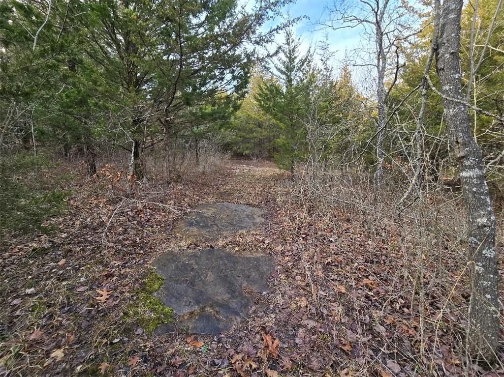 30405 Oak Grove Road — photo 59