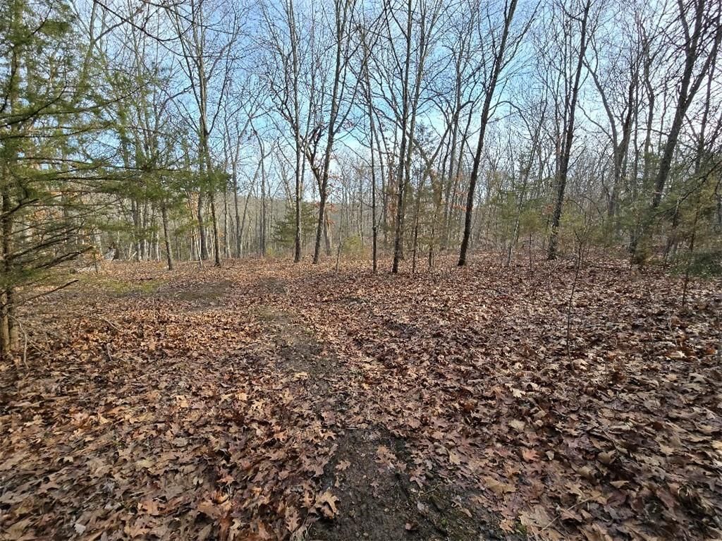 30405 Oak Grove Road — photo 61