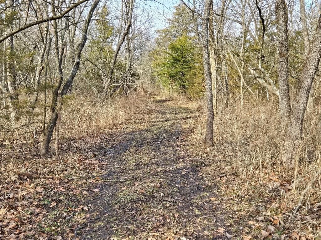 30405 Oak Grove Road — photo 69