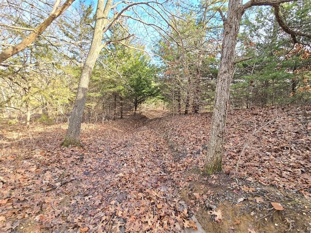 30405 Oak Grove Road — photo 80
