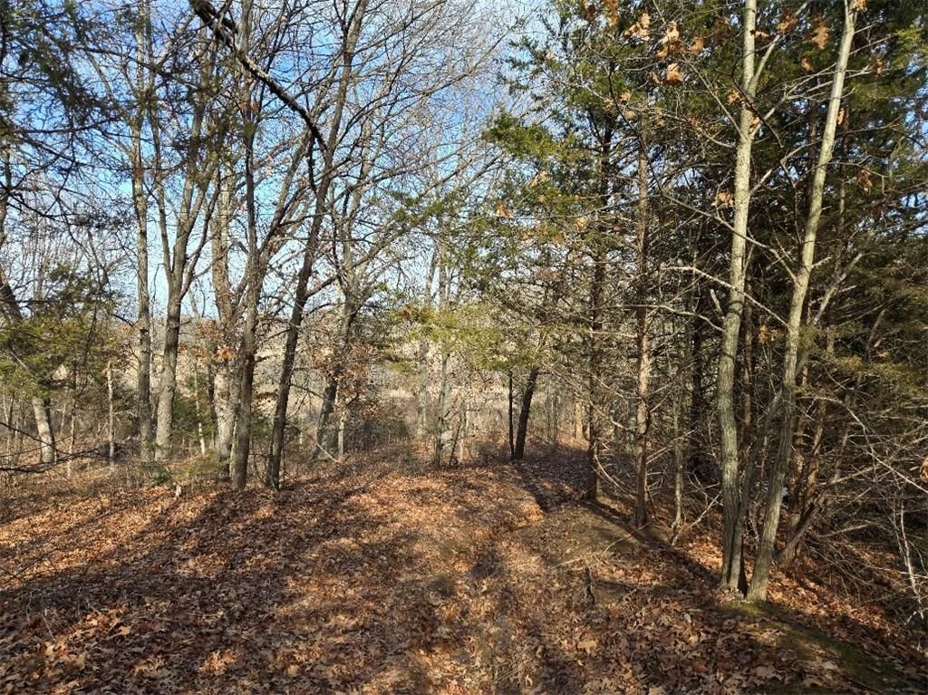 30405 Oak Grove Road — photo 81