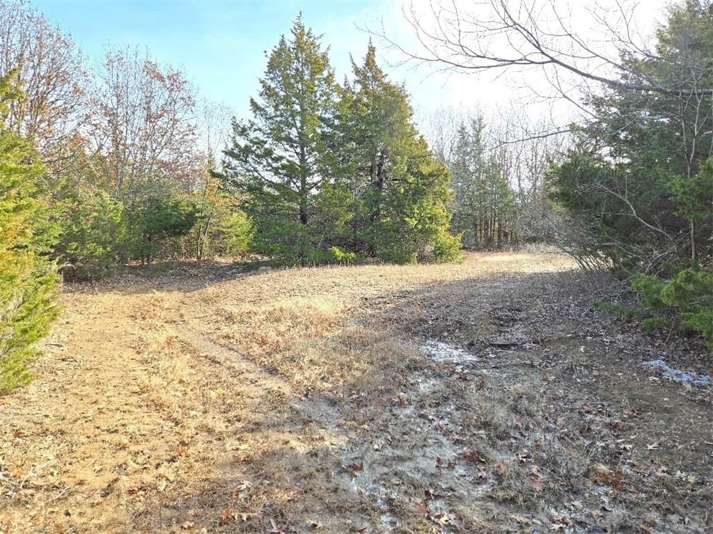30405 Oak Grove Road — photo 85
