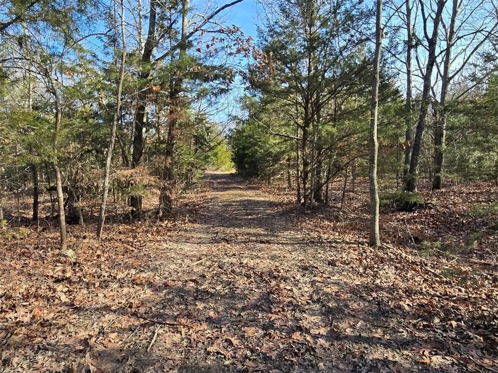 30405 Oak Grove Road — photo 86