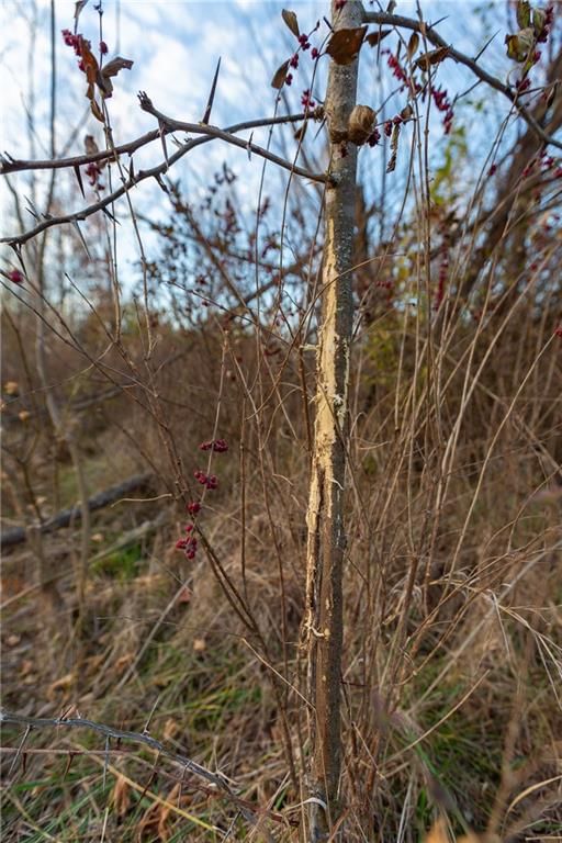 805 E Outer Belt Road — photo 39