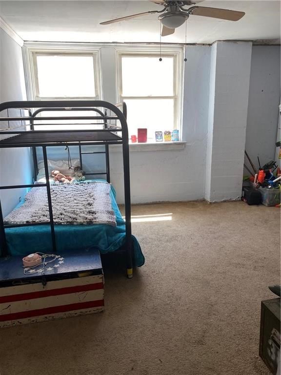 421 Locust Street — photo 13