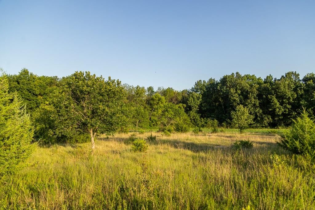S Grand River Road — photo 26