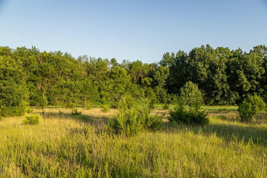 S Grand River Road — photo 27