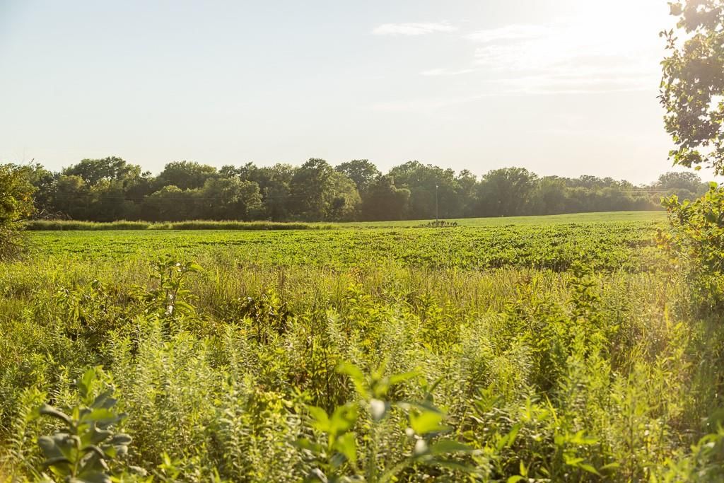 S Grand River Road — photo 30
