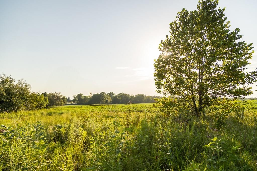 S Grand River Road — photo 32