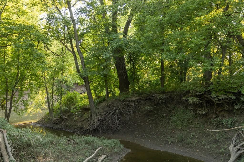 S Grand River Road — photo 49