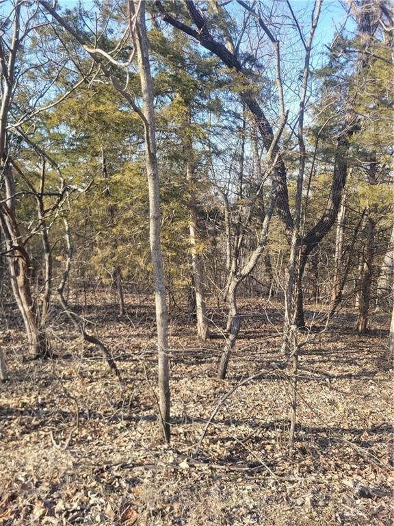 33 E Ridgewood Circle, Linn Valley, KS