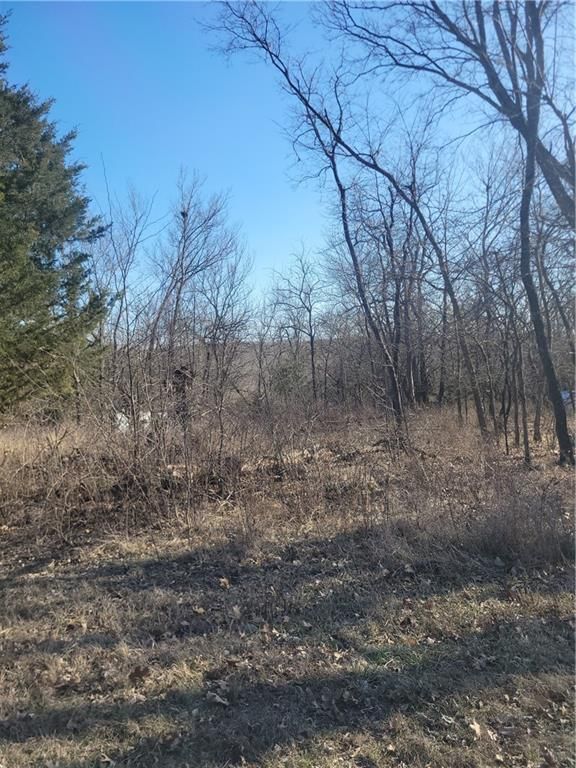 102 Maple Drive, Linn Valley, KS