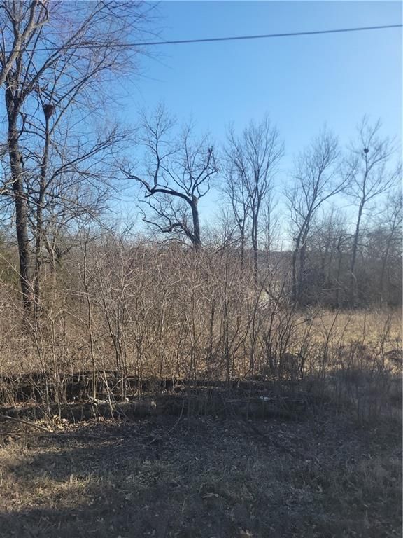 102 Maple Drive — photo 3