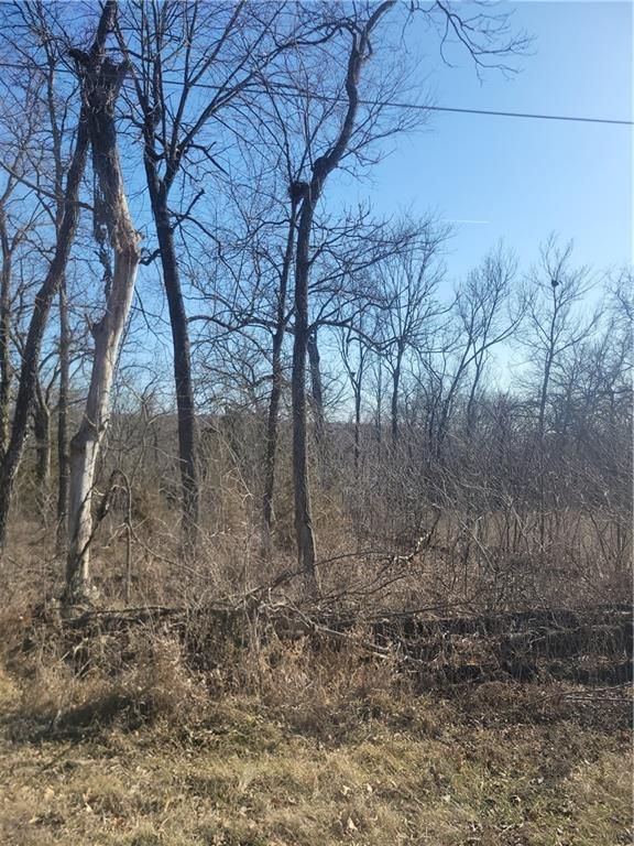 102 Maple Drive — photo 4