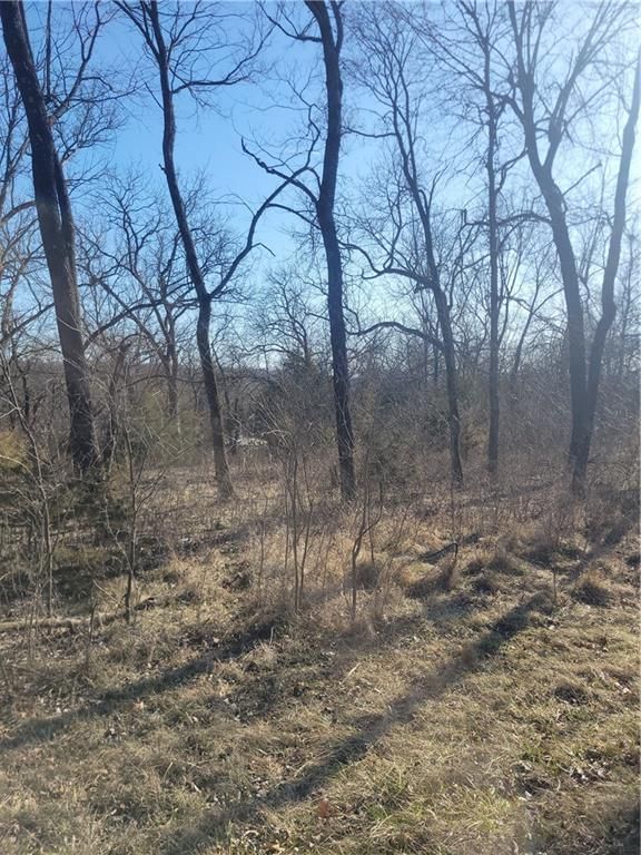 102 Maple Drive — photo 5