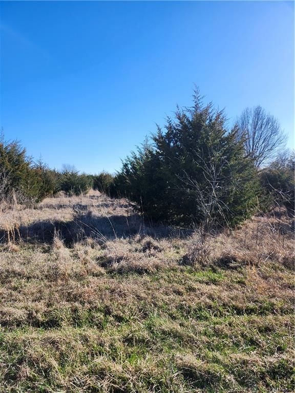Photo 3 of 7 - 18 Nebraska Drive