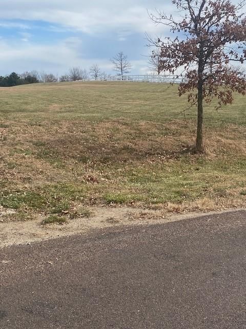 25030 177th Terrace — photo 3